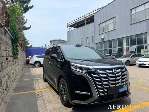 2025 Denza D9 3
