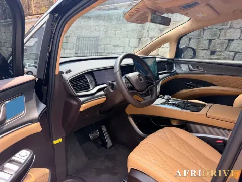 2025 Denza D9 4