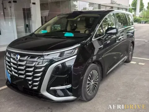 2025 Denza D9