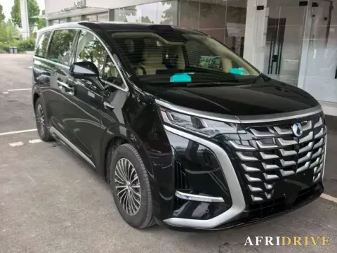 2025 Denza D9 2