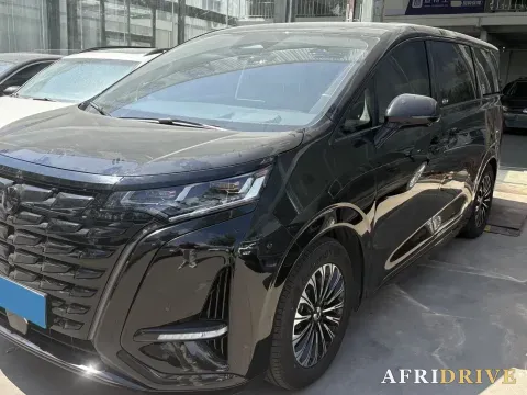 2024 Denza D9