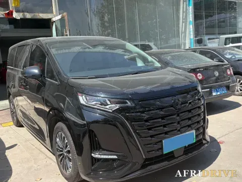 2024 Denza D9 2