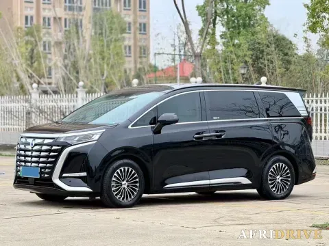2022 HongQi HS7