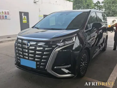2024 Denza D9
