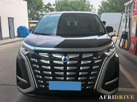 2024 Denza D9 2