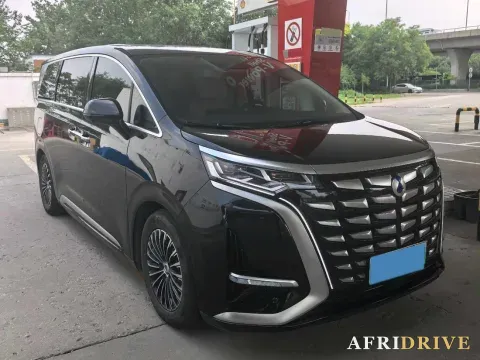 2024 Denza D9 3