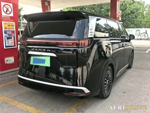 2024 Denza D9 8