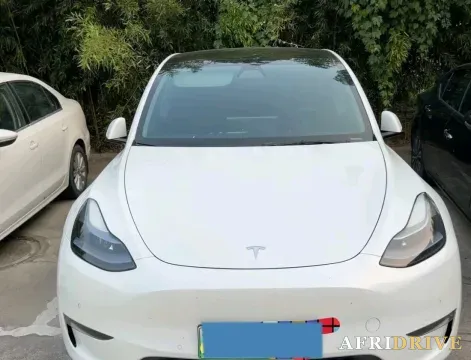 2023 Tesla Model Y 2