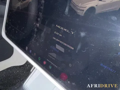 2025 Tesla Model Y 7
