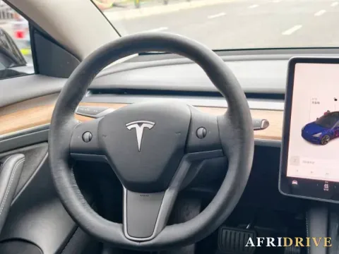 2021 Tesla Model 3 6