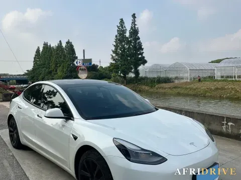 2021 Tesla Model 3 3