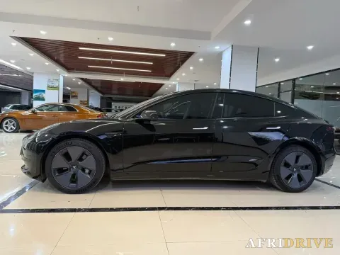 2021 Tesla Model 3 3