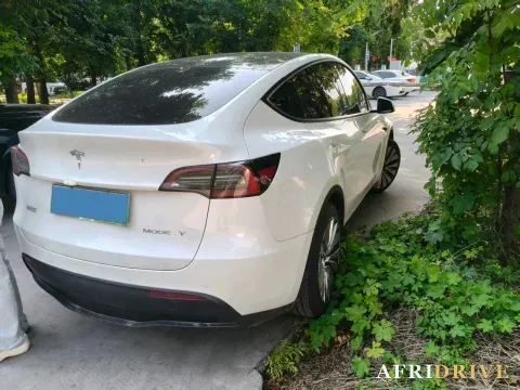 2023 Tesla Model Y 2