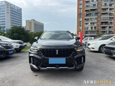 2017 WEY VV5 2