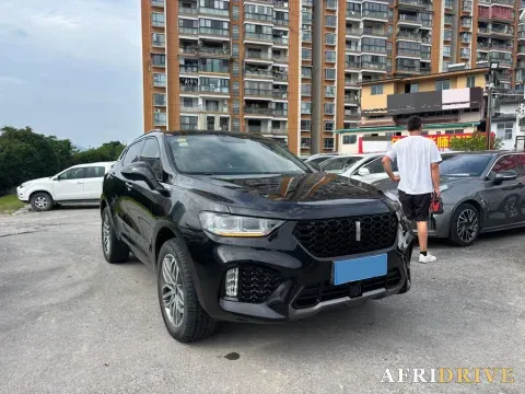 2017 WEY VV5 3