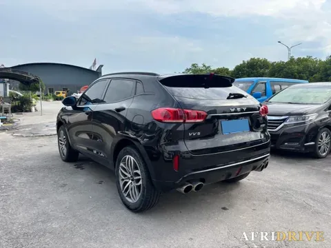 2017 WEY VV5 7