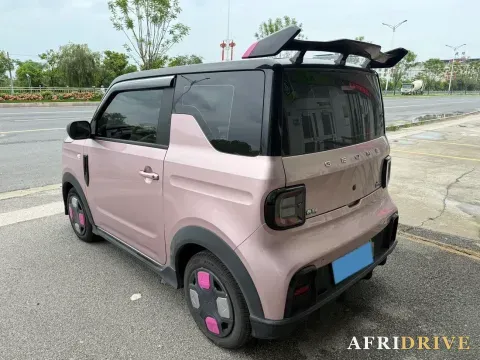 2025 Geely Galaxy Panda 5
