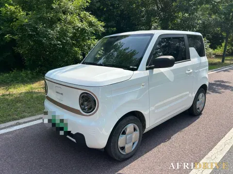 2024 Geely Galaxy Panda