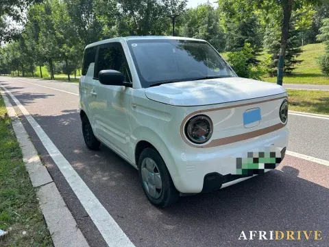 2024 Geely Galaxy Panda 2