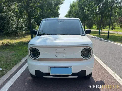 2024 Geely Galaxy Panda 3