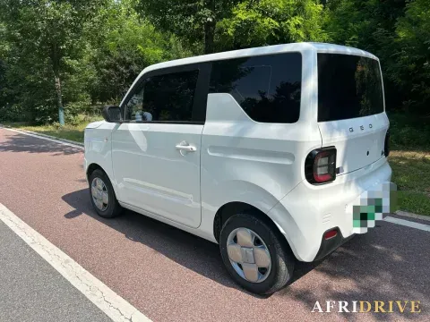 2024 Geely Galaxy Panda 4