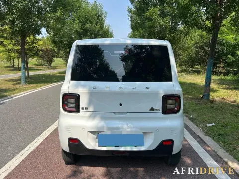 2024 Geely Galaxy Panda 5