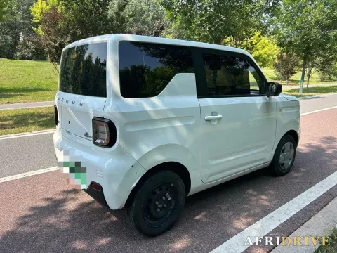 2024 Geely Galaxy Panda 6