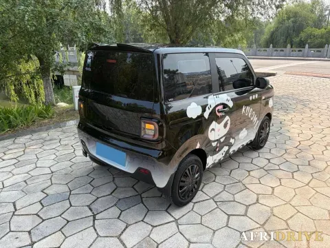 2023 Geely Galaxy Panda 5