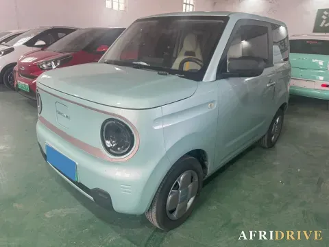 2023 Geely Galaxy Panda