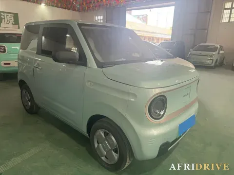 2023 Geely Galaxy Panda 2