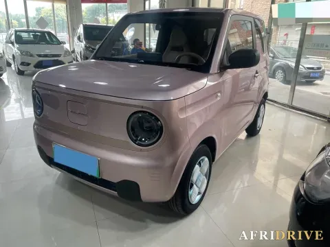 2024 Geely Galaxy Panda