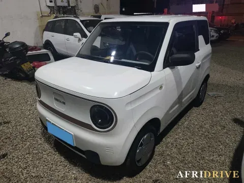 2023 Geely Galaxy Panda