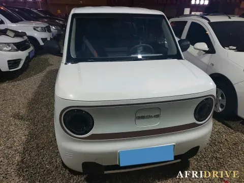 2023 Geely Galaxy Panda 2
