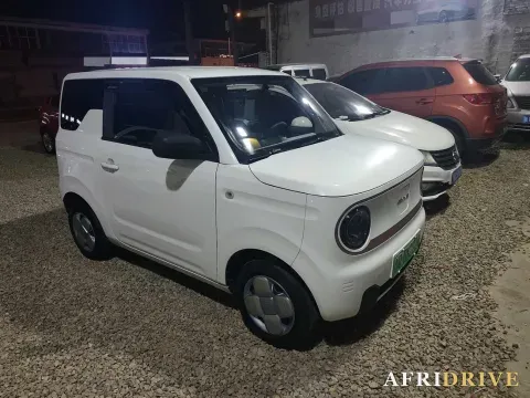 2023 Geely Galaxy Panda 3
