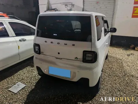 2023 Geely Galaxy Panda 6