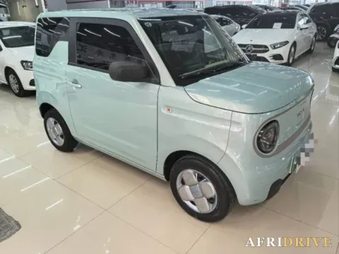 2023 Geely Galaxy Panda 6