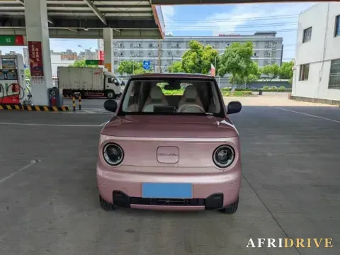 2024 Geely Galaxy Panda 2