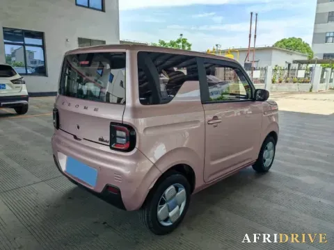 2024 Geely Galaxy Panda 7