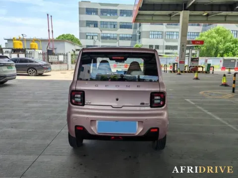 2024 Geely Galaxy Panda 8
