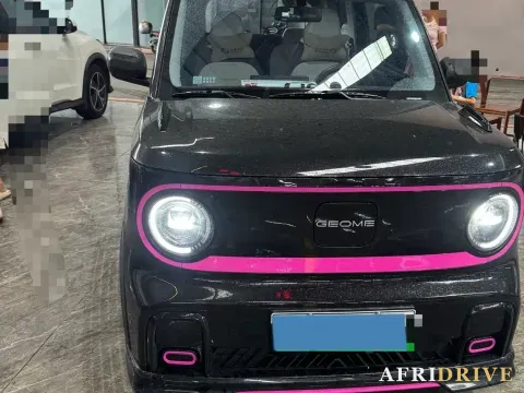 2025 Geely Galaxy Panda 2