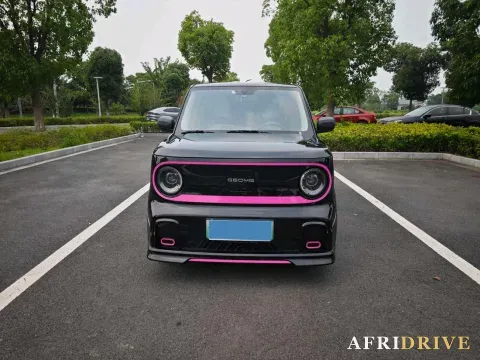 2025 Geely Galaxy Panda 2