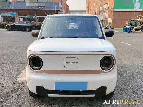 2023 Geely Galaxy Panda 2