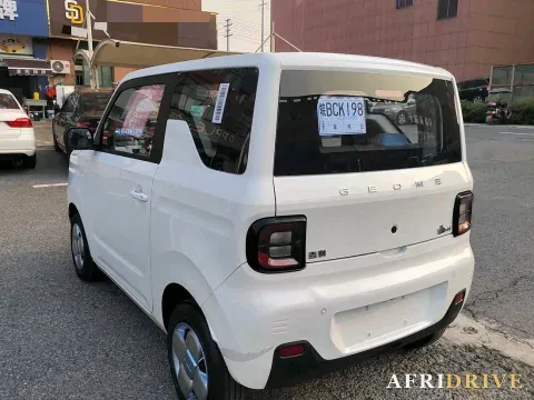2023 Geely Galaxy Panda 7