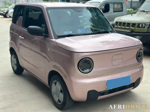 2023 Geely Galaxy Panda 2