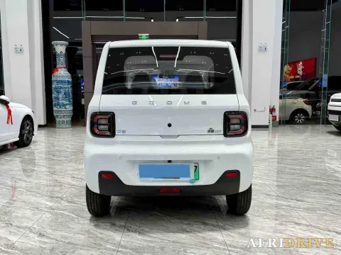 2024 Geely Galaxy Panda 8