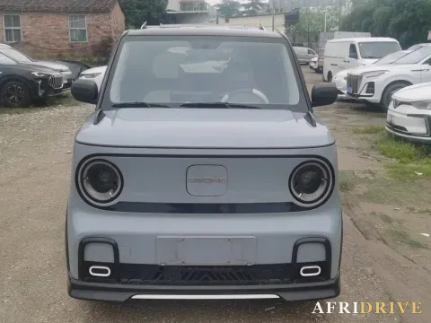 2024 Geely Galaxy Panda 3