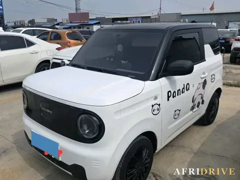 2024 Geely Galaxy Panda