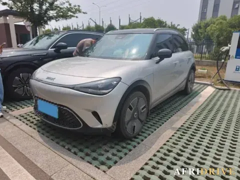 2022 Smart smart Elf 1
