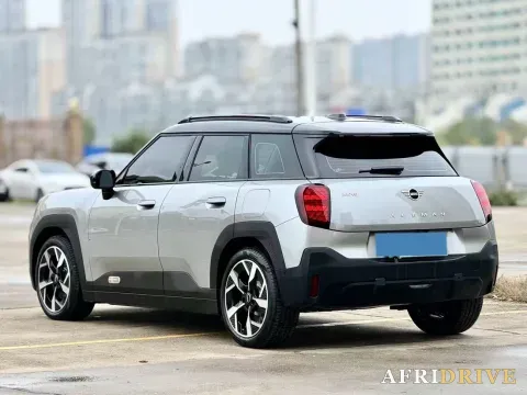 2025 MINI ACEMAN 4