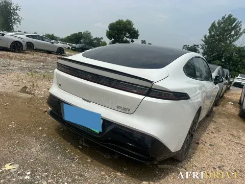 2024 DongFeng eπ eπ007 5